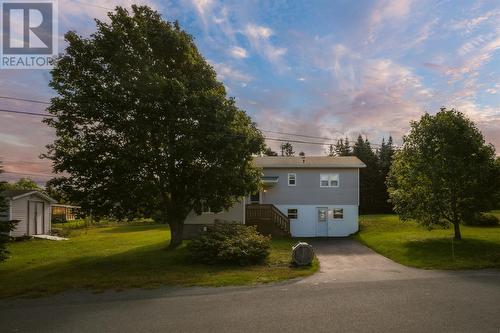 9 Drukens Lane, Portugal Cove-St.Philips, NL 