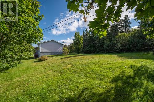 9 Drukens Lane, Portugal Cove-St.Philips, NL 