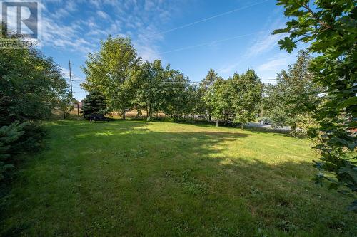 9 Drukens Lane, Portugal Cove-St.Philips, NL 