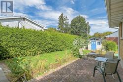 Backyard - 