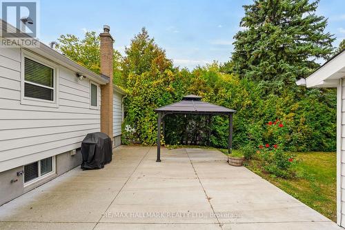245 Elmwood Avenue, Richmond Hill, ON 