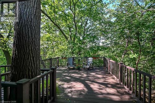 Expansive deck with composite decking, dark wood railing, and mature tree integration - 2 Helen Street, Dundas, ON 