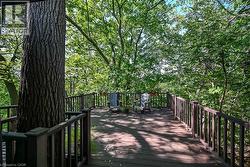 Expansive deck with composite decking, dark wood railing, and mature tree integration - 