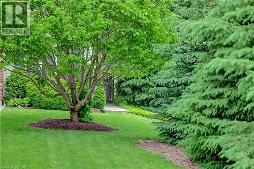 11 Lorraine Drive, Linwood, ON 