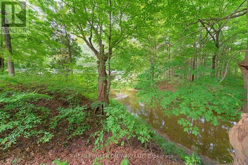 1599 Windham Rd 19 Road, Norfolk, ON 