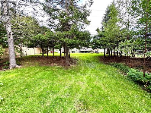 21 Sheppard Street, Grand Falls-Windsor, NL 