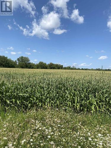 800 Conlin Road, Whitby, ON 