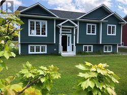 91 Springfield Road  South River, NL A0A 3V0