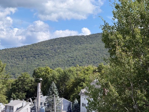 Vue - 424 Ch. Boulanger, Sutton, QC - Outdoor With View