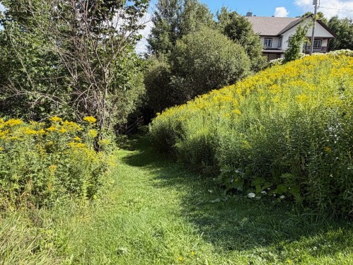 Autre - 424 Ch. Boulanger, Sutton, QC - Outdoor