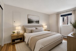 Chambre à coucher principale - 