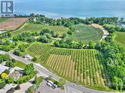 1378 LAKESHORE ROAD  Niagara-On-The-Lake (Lakeshore), ON L0S 1T0