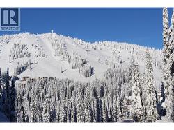 9807 Cathedral Drive Vernon, BC V1B 0S1