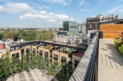 View - 