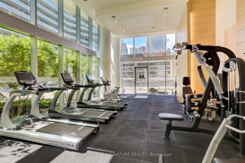424-29 Queens Quay E, Toronto, ON - Indoor Photo Showing Gym Room