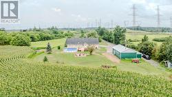107 6TH LINE Haldimand, ON N3W 1Y8