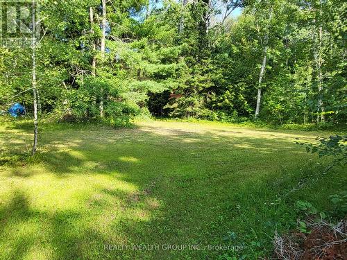 Lt 50 Cedar Grove Drive, Tiny, ON 