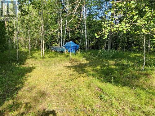 Lt 50 Cedar Grove Drive, Tiny, ON 
