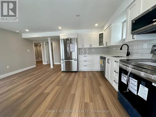 Lower - 47 Anderson Road, Brant, ON - Indoor Photo Showing Kitchen With Upgraded Kitchen