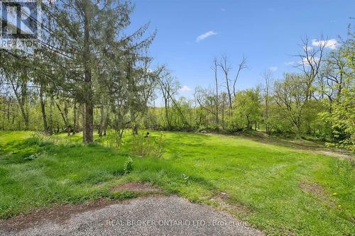Yard - 36 Elgin Street E, Woolwich, ON - Outdoor