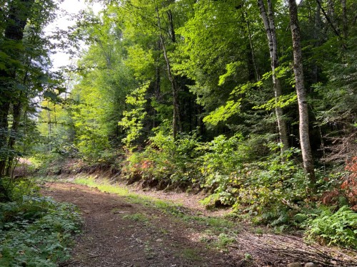 Terre/Terrain - 131 Mtée Rochon, Ripon, QC 