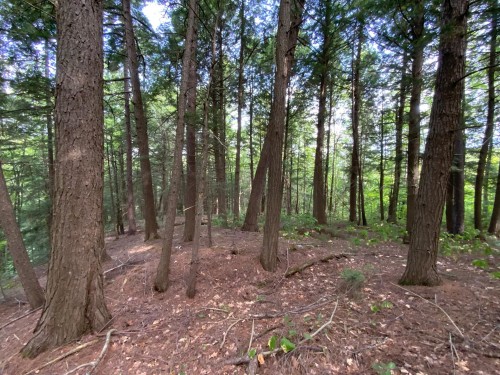Terre/Terrain - 131 Mtée Rochon, Ripon, QC 