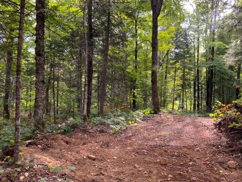 Terre/Terrain - 131 Mtée Rochon, Ripon, QC 