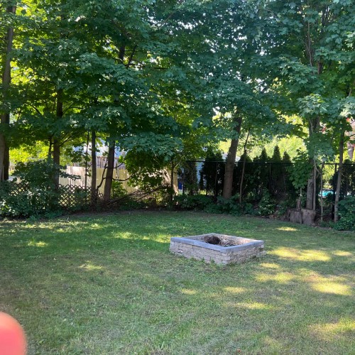 Jardin - 21 Rue L'Auberivière, Laval (Sainte-Rose), QC - Outdoor