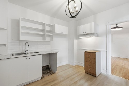 Cuisine - 6370 Rue St-Denis, Montréal (Rosemont/La Petite-Patrie), QC - Indoor Photo Showing Kitchen With Double Sink