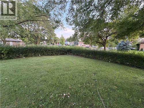 Expansive lawn area with a perimeter hedge and mature trees - 70 Eagen Drive Unit# Upper Level, Kitchener, ON - Outdoor