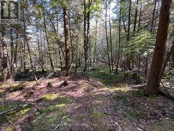 LOT 25 CHAMPLAIN ROAD Tiny, ON L9M 0C3