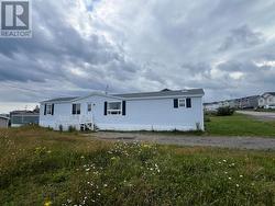 3 Woody Island Drive  Arnolds Cove, NL A0B 1A0