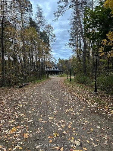 9031 Sideroad 17, Erin, ON - Outdoor With View
