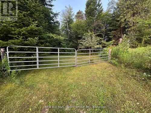9031 Sideroad 17, Erin, ON - Outdoor