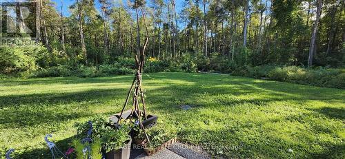 9031 Sideroad 17, Erin, ON - Outdoor