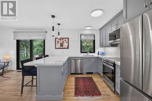 238 Island Park Drive, Ottawa, ON - Indoor Photo Showing Kitchen With Upgraded Kitchen