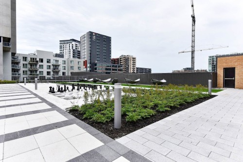 Jardin - 1006-235 Rue Peel, Montréal (Le Sud-Ouest), QC - Outdoor