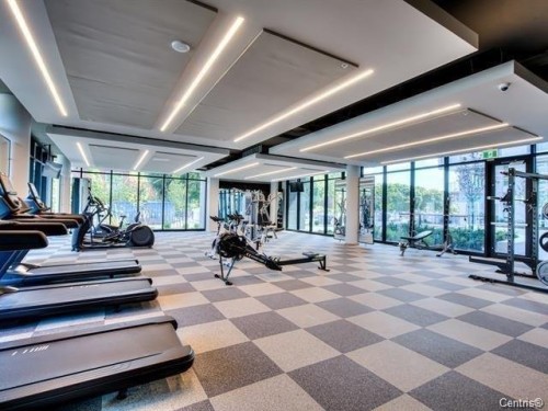 Exercise Room - 1021-5175 Rue Mackenzie, Montréal (Côte-Des-Neiges/Notre-Dame-De-Grâce), QC - Indoor Photo Showing Gym Room
