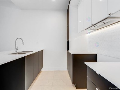 Kitchen - 1021-5175 Rue Mackenzie, Montréal (Côte-Des-Neiges/Notre-Dame-De-Grâce), QC - Indoor Photo Showing Kitchen With Double Sink