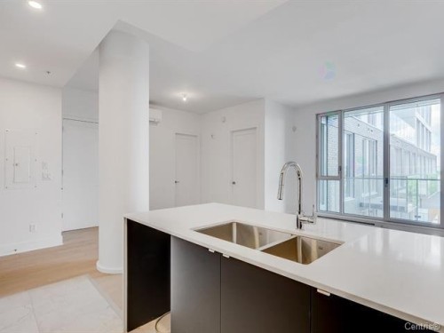 Kitchen - 1021-5175 Rue Mackenzie, Montréal (Côte-Des-Neiges/Notre-Dame-De-Grâce), QC - Indoor Photo Showing Kitchen With Double Sink