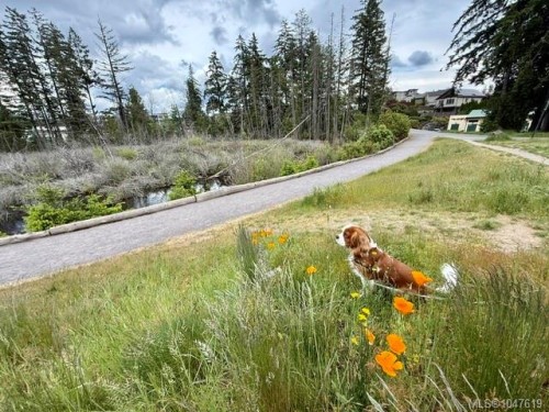 1005 Boeing Close, Langford, BC 