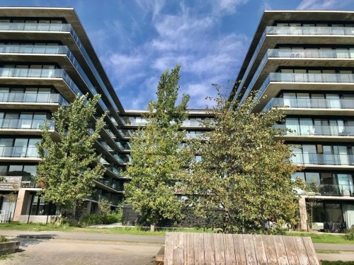Back of Structure - 507-1616 Rue Des Bassins, Montréal (Le Sud-Ouest), QC - Outdoor With Facade