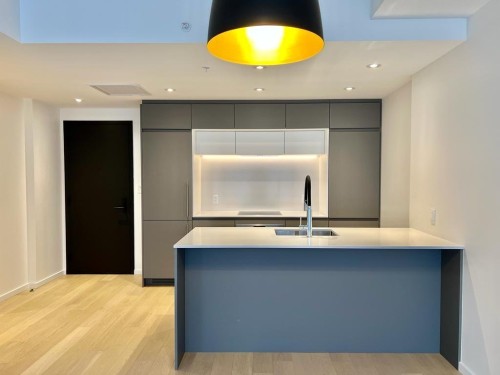 Kitchen - 507-1616 Rue Des Bassins, Montréal (Le Sud-Ouest), QC - Indoor Photo Showing Kitchen With Upgraded Kitchen