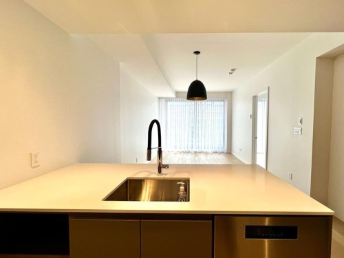 Kitchen - 507-1616 Rue Des Bassins, Montréal (Le Sud-Ouest), QC - Indoor Photo Showing Kitchen