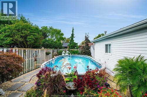2677 Robert Road, Windsor, ON - Outdoor With Above Ground Pool