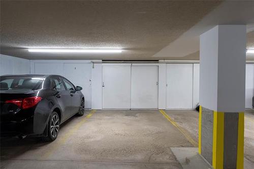 108-687 St Anne'S Rd, Winnipeg, MB - Indoor Photo Showing Garage