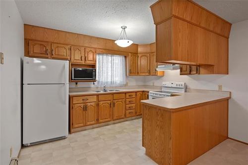 108-687 St Anne'S Rd, Winnipeg, MB - Indoor Photo Showing Kitchen With Double Sink
