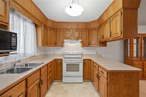 108-687 St Anne'S Rd, Winnipeg, MB - Indoor Photo Showing Kitchen With Double Sink