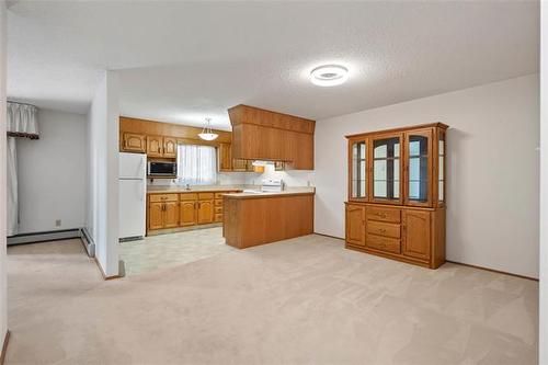 108-687 St Anne'S Rd, Winnipeg, MB - Indoor Photo Showing Kitchen