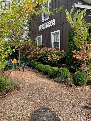 127 Queen Street, Selwyn, ON 